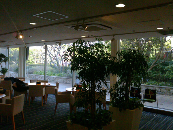 NEC_0634.jpg