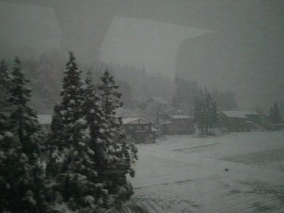 niigata2010-1.jpg
