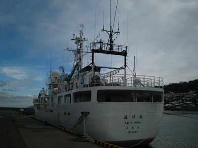 niigata2010-4.jpg