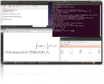 ubuntu1010-3.jpg
